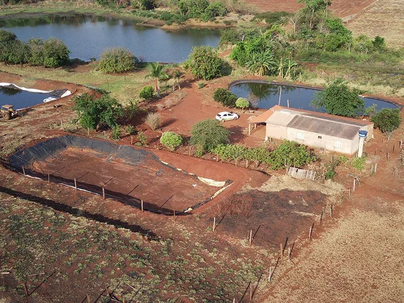 Compostagem: A Sustentabilidade que gera lucro