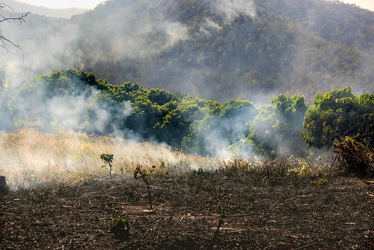 Imagem ilustrativa de Avaliação de desempenho ambiental