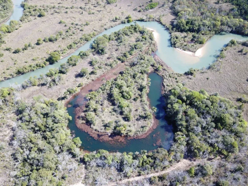 Imagem ilustrativa de Laudo de caracterização de vegetação para reserva legal