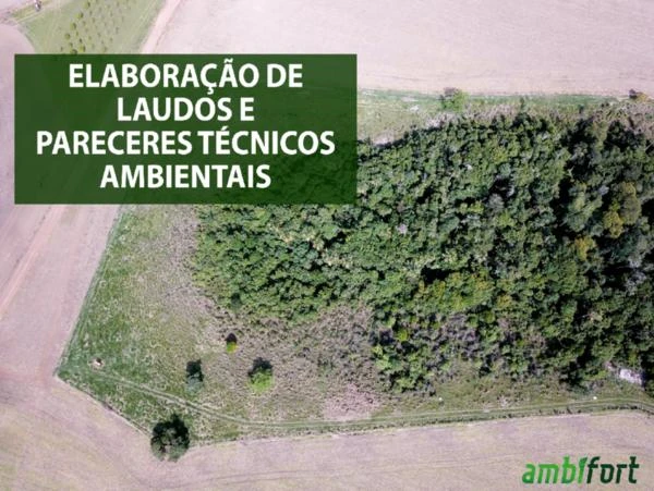 Imagem ilustrativa de Laudo de viabilidade ambiental