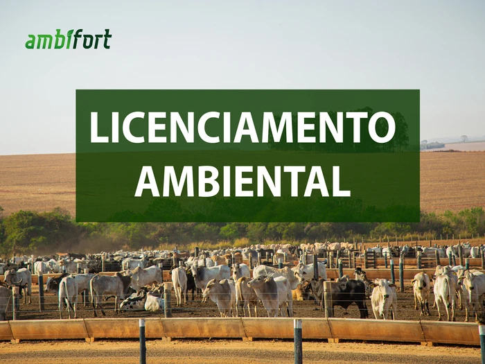 Imagem ilustrativa de Licença ambiental valor